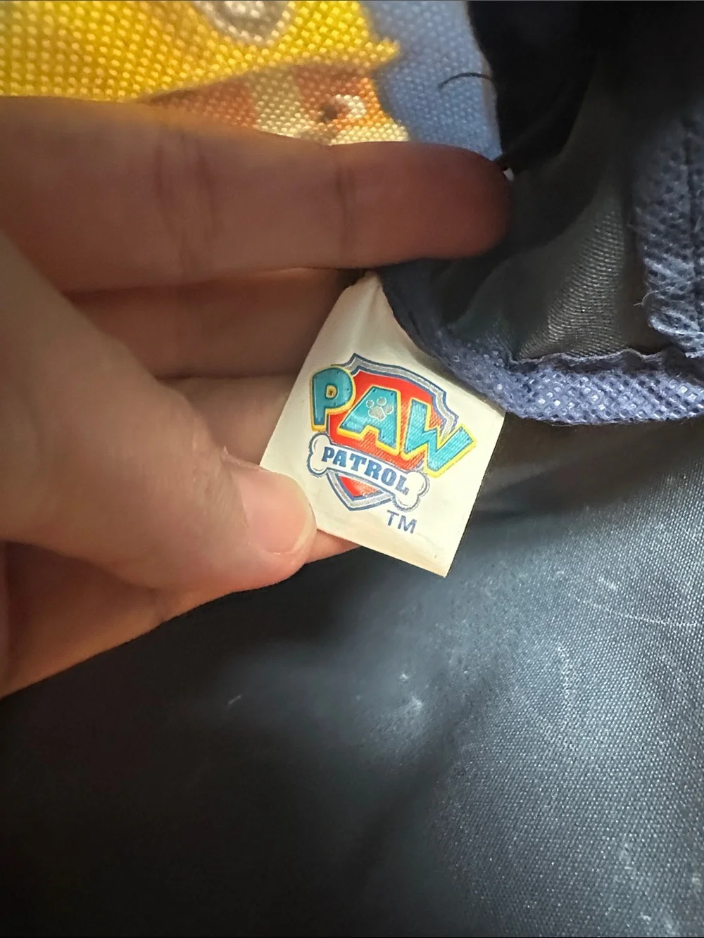 Paw Patrol Blue 